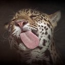 ���� Viktor, ����� - ��������� 16 ������� 2015 � ������ ������ ��������