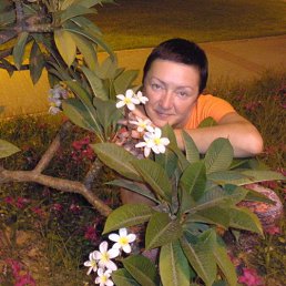, 61, 