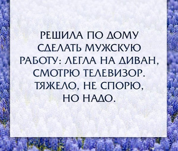 , , , ,  - 20  2016  21:04