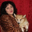 ���� �����, ������ - ��������� 30 ������� 2015 � ������ ���� ����������