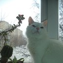 ���� ������, ������, 54 ���� - ��������� 17 ������ 2016