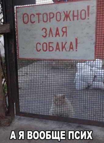       - 1  2015  19:34