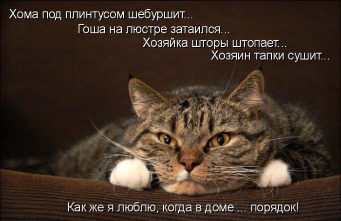   -!