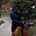 ���� ���������, ������, 44 ���� - ��������� 16 ������ 2016 � ������ ���� ����������