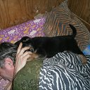  ,  -  3  2016        !!!