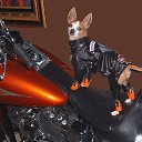  ˸, - -  29  2016   )))