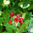 ���� �����, ����������� - ��������� 27 �������� 2015 � ������ ���� ����������