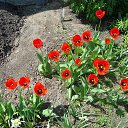 ���� �����, ������ - ��������� 1 ����� 2016 � ������ ���� ����������