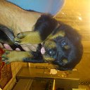 ���� �����, ������� - ��������� 18 ������� 2015