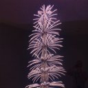 ���� ������, ���������� - ��������� 3 ������ 2016 � ������ ���� ����������