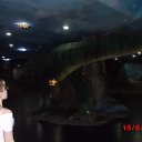  , , 56  -  3  2015    