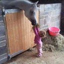 ���� Aleks, ����� ������� - ��������� 12 ������� 2015 � ������ �HORSES�