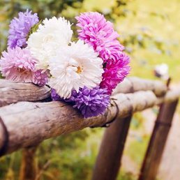 ���� ����, ������ - ��������� 15 ������� 2016