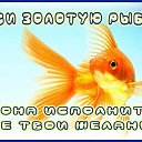 ���� ���������, ������������ - ��������� 18 ������ 2015 � ������ �������� ��������