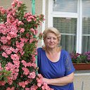 ���� �������, �������-����������, 53 ���� - ��������� 20 ������ 2015 � ������ ���� ����������