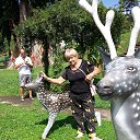 ���� ����, ��������, 76 ��� - ��������� 22 ������� 2015 � ������ ���� ����������