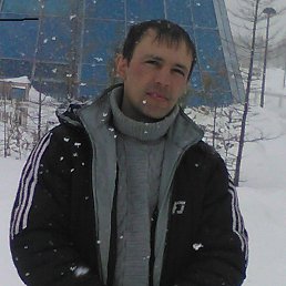 �����, ����������