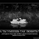 ���� Sergei, �������, 46 ��� - ��������� 25 ������ 2016 � ������ �������� ��������