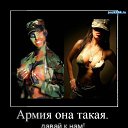 ���� �������, �����, 62 ���� - ��������� 22 ������� 2016 � ������ ������ ��������