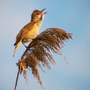  ••,  -  31  2015   