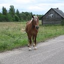 ���� ����, �����-���������, 52 ���� - ��������� 22 ������ 2015 � ������ �������������