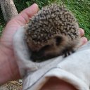 ���� ����, ������, 64 ���� - ��������� 29 ������� 2016 � ������ ���� ����������