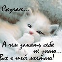 ���� ���������, ��������, 35 ��� - ��������� 2 ������� 2015 � ������ ������ ��������