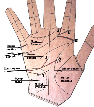Линия Брака На Ладони Мужчины Фото Примеры