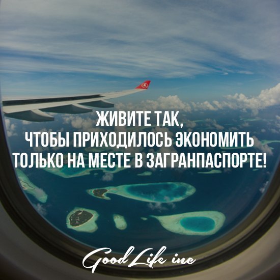 Good Life Inc - 3  2016  21:12