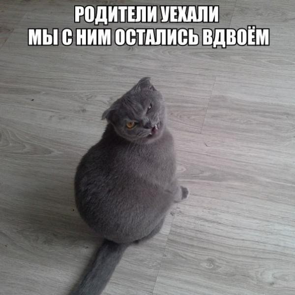  - 10  2015  12:30