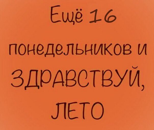   | , ,  - 8  2016  14:03