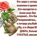 ���� ��������, �������� - ��������� 24 ������� 2015 � ������ ������ ��������