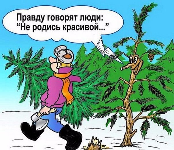  + 100.... - 27  2015  23:24