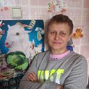 ���� �����, ���� - ��������� 11 ������ 2015