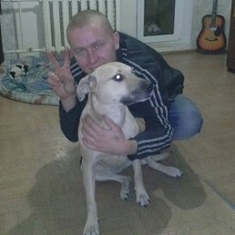 �������, ��������, 33 ����