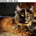 ���� Marina, �����, 46 ��� - ��������� 7 ����� 2016 � ������ ������ ��������