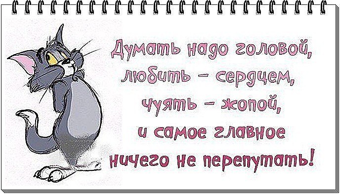   - 10  2016  01:22