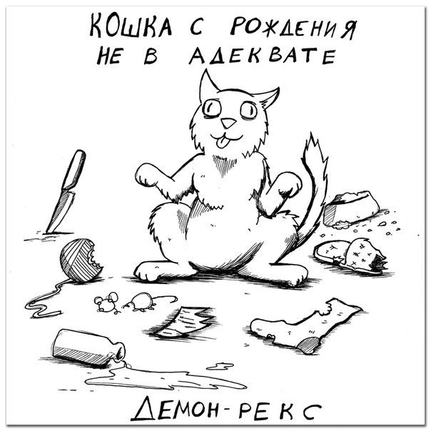  .   - 7