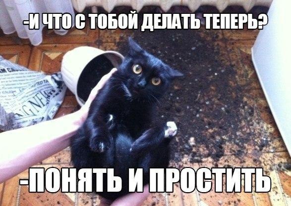    - 2  2015  09:17
