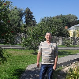 ��������, �������, 67 ���