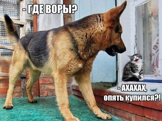 Ivan Karataev - 27  2015  13:15