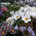 ���� ���������, ��������, 70 ��� - ��������� 5 ����� 2016 � ������ ���� ����������