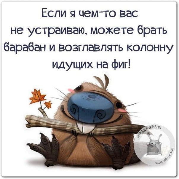   - 11  2015  18:42