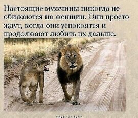   - 9  2015  16:53