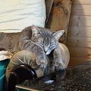 ���� Alex, �����, 49 ��� - ��������� 2 ������ 2016 � ������ ������ �!�