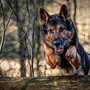 ���� �����, �����-���������, 51 ��� - ��������� 22 ������� 2016 � ������ ���� ����������