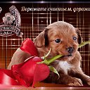 ���� �������, ����� - ��������� 23 ������� 2015 � ������ ���� ����������