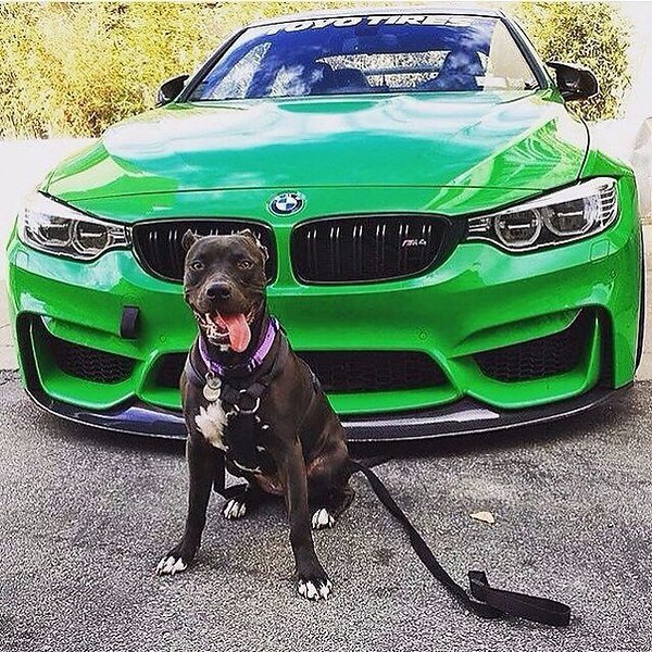 I Love Cars - 2  2016  10:23