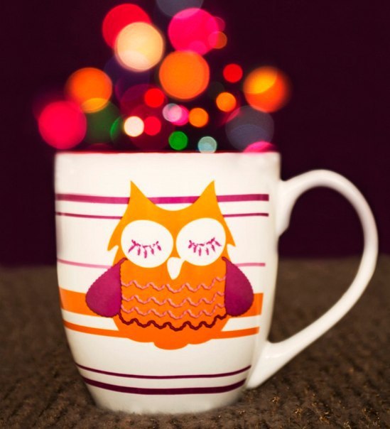 -  : Night person  sleepyhead    night owl    late riser  , ...