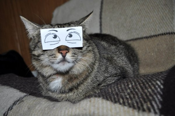       - 23  2016  13:33 - 5